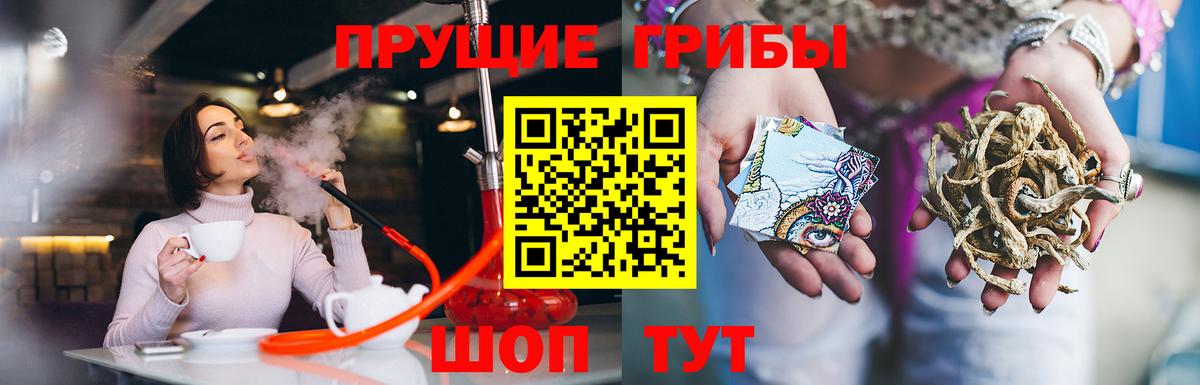 Галлюциногенные грибы Magic Shrooms  Вход с VPN  Галлюциногенные грибы MAGIC MUSHROOMS  Петрозаводск 
